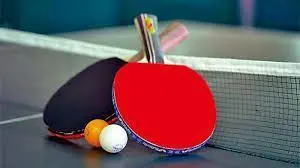 燃爆巴黎！奥运乒乓男团1/8决赛：法国横扫斯洛文尼亚，精彩瞬间全回顾！